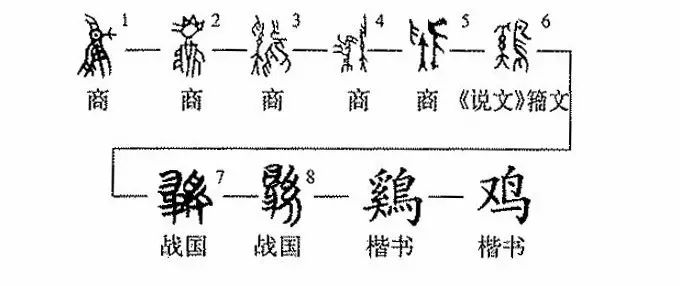 鸡的汉字演变过程图图片